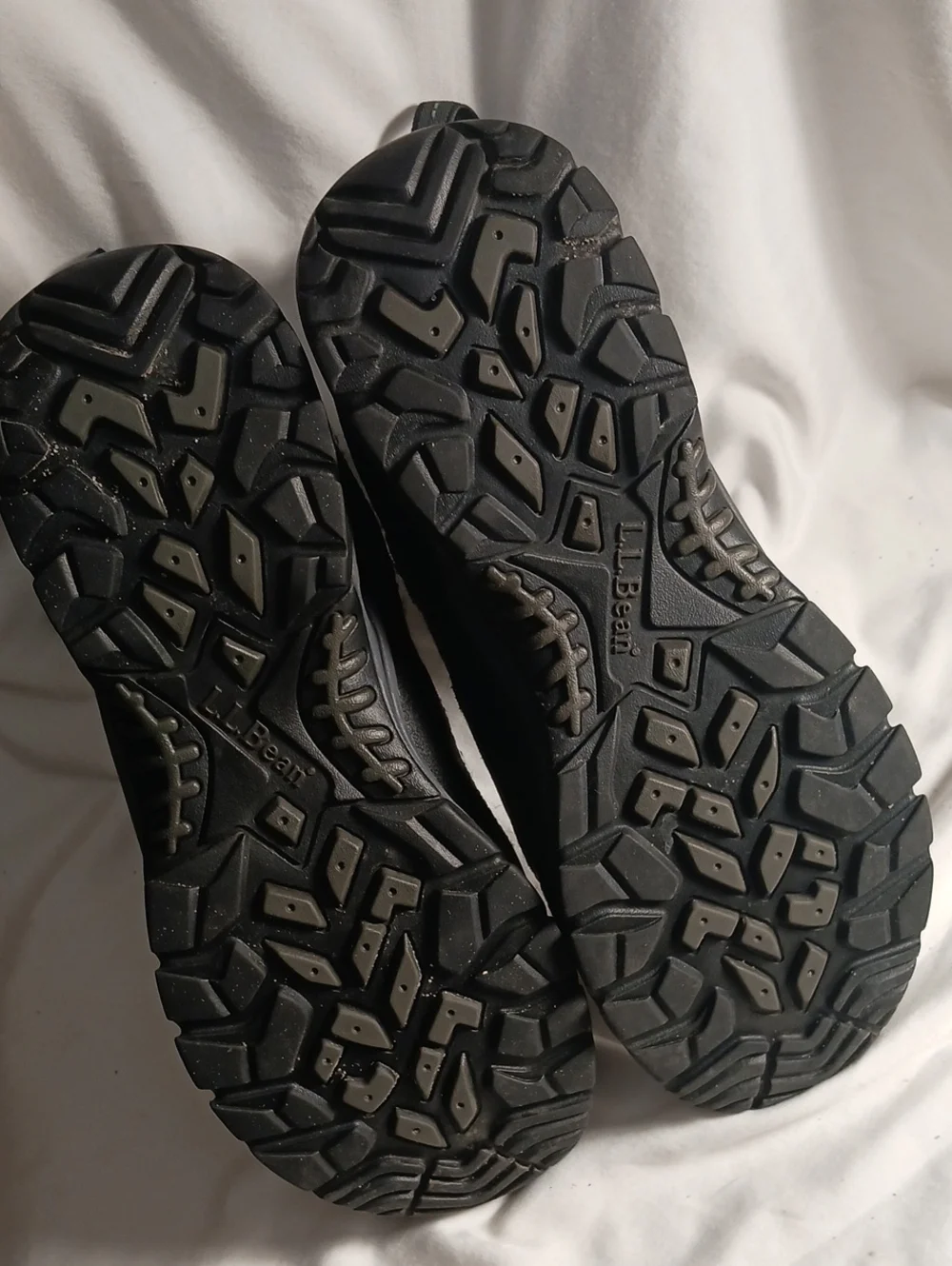 L.L. Bean 8